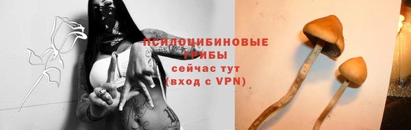 дмт Медвежьегорск