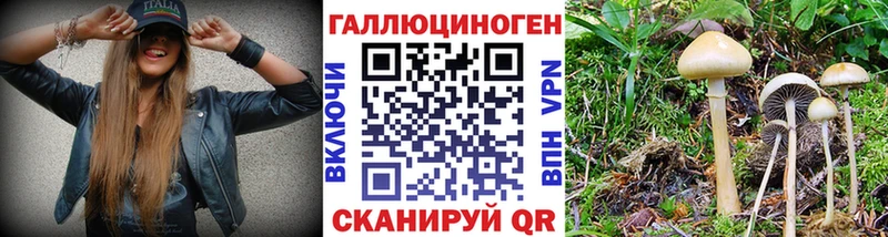 Галлюциногенные грибы прущие грибы  Купить  Красногорск 